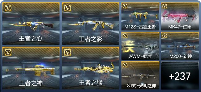 穿越火线：枪战王者V5 13王者武器 246英雄武器 10英雄角色 491万化 大师S