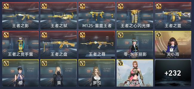 穿越火线：枪战王者V6 8王者 238英雄武器 8英雄角色 375万化 新锐
