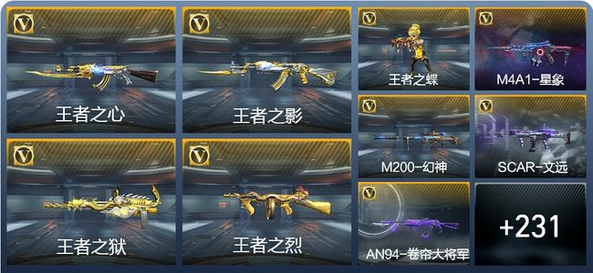 穿越火线：枪战王者16王者武器 243英雄武器 9英雄角色 309万化 枪王