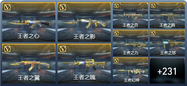 穿越火线：枪战王者V9 40王者武器 240英雄武器 9英雄角色 437万化 枪皇SSS