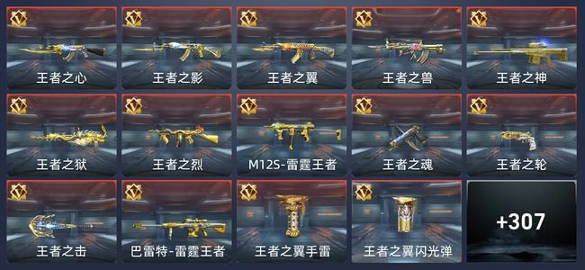 穿越火线：枪战王者V8 24王者 306英雄武器 15英雄角色 529万化 专家S