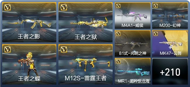 穿越火线：枪战王者V7 6王者武器 220英雄武器 6英雄角色 509万化 大师