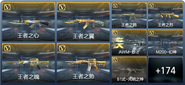 穿越火线：枪战王者V8 20王者武器 216英雄武器 5英雄角色 376万化 枪圣