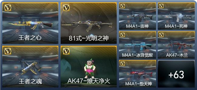 穿越火线：枪战王者V1 2王者武器 72英雄武器 2英雄角色 95万化 大师