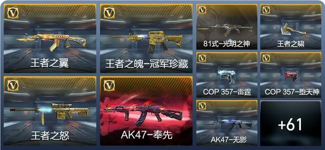 穿越火线：枪战王者V8 4王者武器 74英雄武器 2英雄角色 206万化 枪王