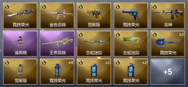 穿越火线（CF）1王者武器 19V武器 1V角色 1皮肤 可排位 大师