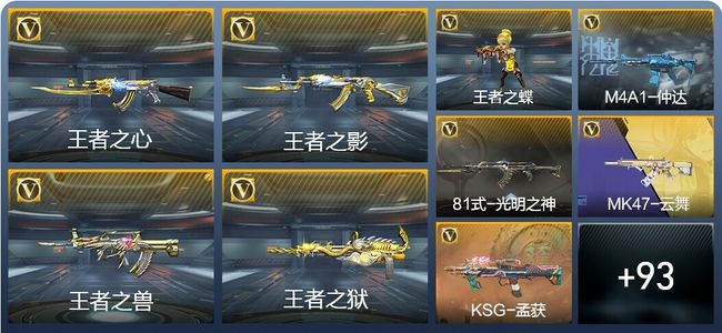 穿越火线：枪战王者V5 8王者武器 231英雄武器 新锐