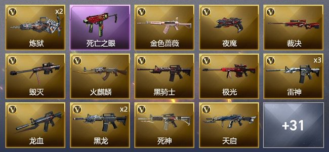 穿越火线（CF）1王者武器 1炫金武器 53V武器 1V角色 9皮肤 可排位 专家