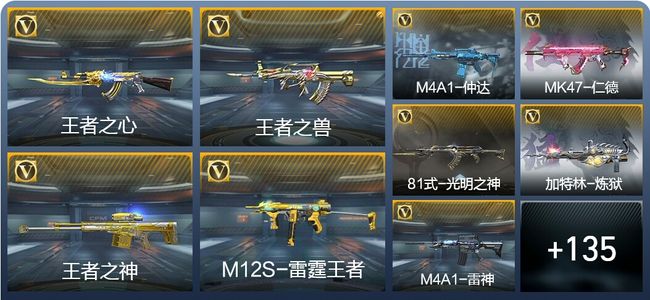 穿越火线：枪战王者V1 5王者武器 163英雄武器 4英雄角色 254万化 大师SS