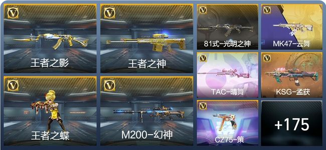 穿越火线：枪战王者V5 9王者武器 184英雄武器 5英雄角色 344万化 专家S