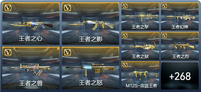 穿越火线：枪战王者V8 16王者武器 312英雄武器 6英雄角色 656万化 新锐