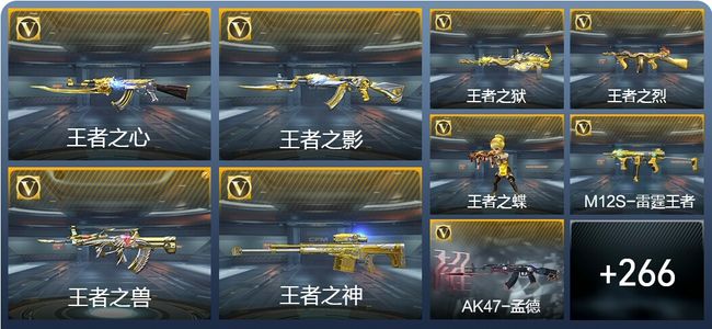 穿越火线:枪战王者V7 661英雄武器 新锐