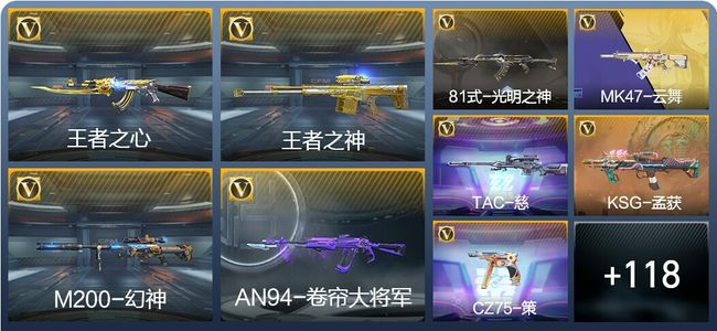 穿越火线：枪战王者V6 241英雄武器 新锐