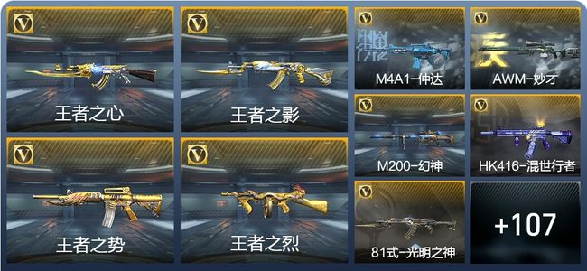 穿越火线：枪战王者V6 245英雄武器 新锐