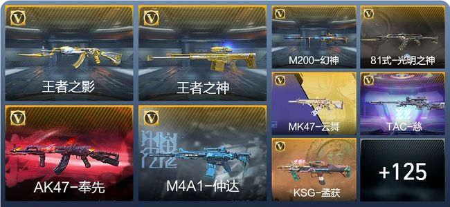 穿越火线：枪战王者V6 254英雄武器 新锐