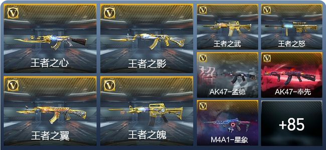 穿越火线：枪战王者V8 172英雄武器 新锐