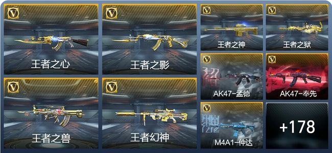 穿越火线：枪战王者V8 331英雄武器 新锐