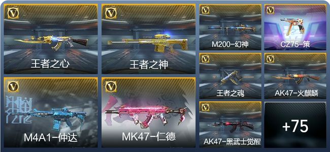 穿越火线：枪战王者V1 179英雄武器 新锐