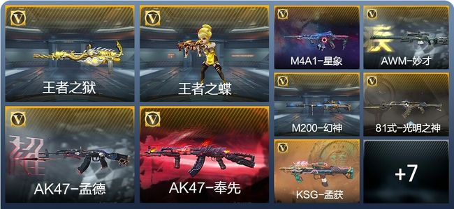 穿越火线：枪战王者V6 233英雄武器 新锐