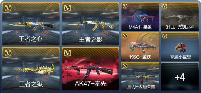 穿越火线：枪战王者V6 177英雄武器 新锐