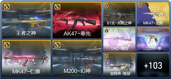 穿越火线：枪战王者V6 209英雄武器 新锐