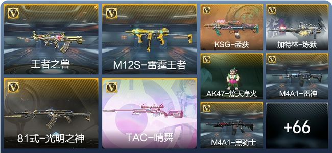 穿越火线：枪战王者V1 132英雄武器 新锐