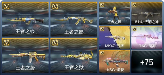 穿越火线：枪战王者V6 157英雄武器 新锐