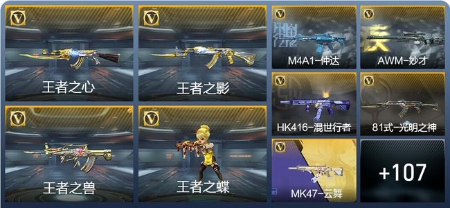 穿越火线：枪战王者V6 207英雄武器 新锐