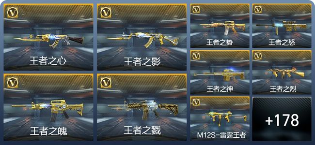 穿越火线：枪战王者V8 414英雄武器 新锐