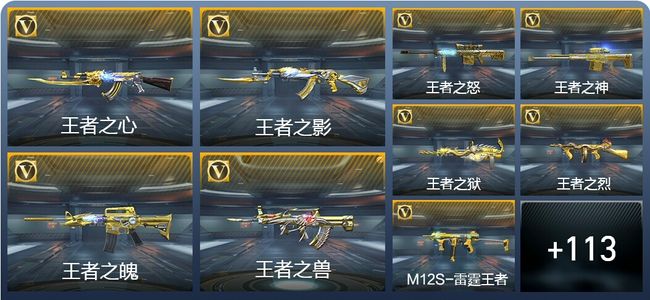 穿越火线：枪战王者V8 247英雄武器 新锐