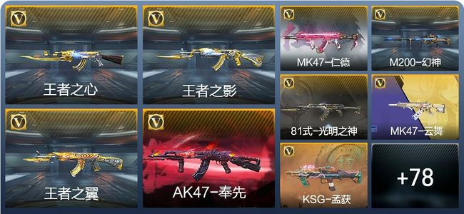 穿越火线：枪战王者V5 151英雄武器 新锐