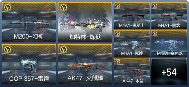 穿越火线：枪战王者V3 125英雄武器 新锐