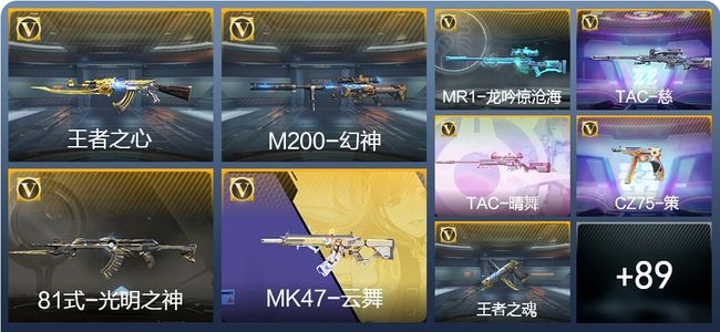 穿越火线：枪战王者V3 222英雄武器 新锐