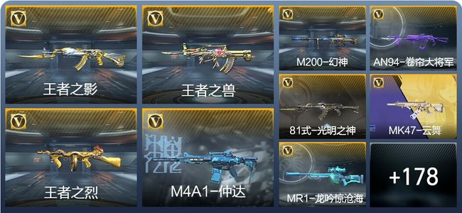 穿越火线：枪战王者V3 358英雄武器 新锐