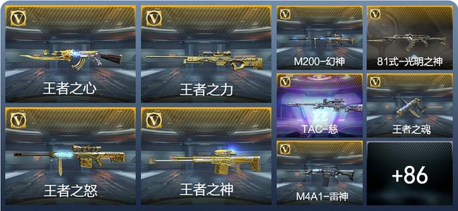 穿越火线：枪战王者V6 202英雄武器 新锐