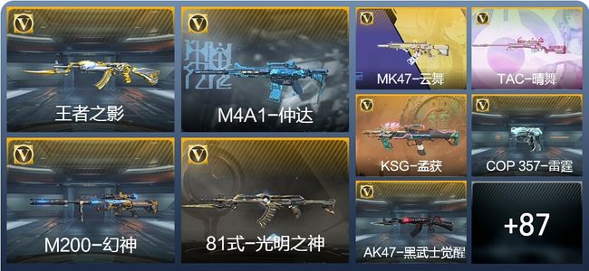 穿越火线：枪战王者V5 172英雄武器 新锐