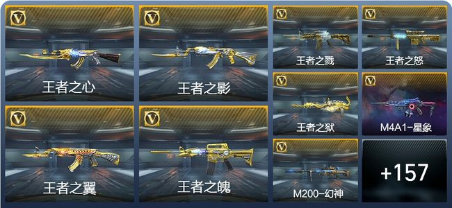 穿越火线：枪战王者V8 297英雄武器 新锐