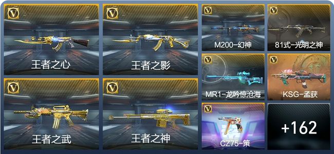 穿越火线：枪战王者V8 295英雄武器 新锐