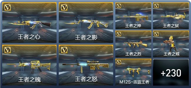 穿越火线：枪战王者V9 349英雄武器 新锐