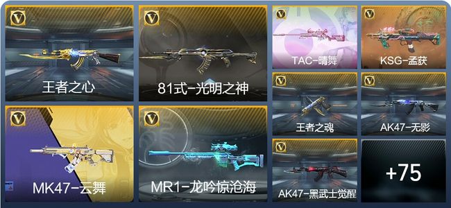 穿越火线：枪战王者V3 119英雄武器 新锐