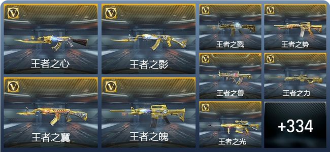 穿越火线：枪战王者V9 411英雄武器 新锐