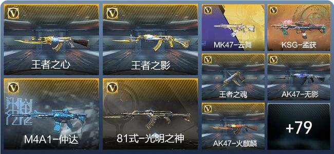 穿越火线：枪战王者V2 207英雄武器 新锐