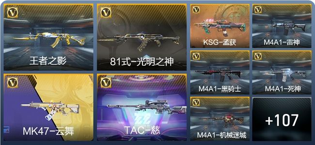 穿越火线：枪战王者V1 212英雄武器 新锐