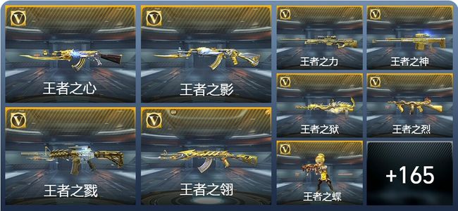 穿越火线：枪战王者V8 263英雄武器 新锐