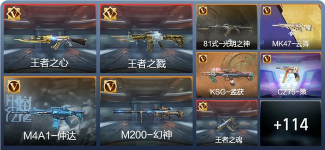 穿越火线：枪战王者V5 208英雄武器 新锐