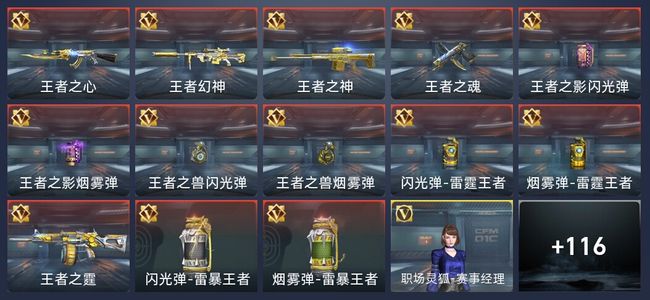 穿越火线：枪战王者V6 207英雄武器 新锐