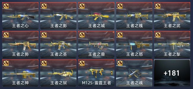 穿越火线：枪战王者V8 282英雄武器 新锐
