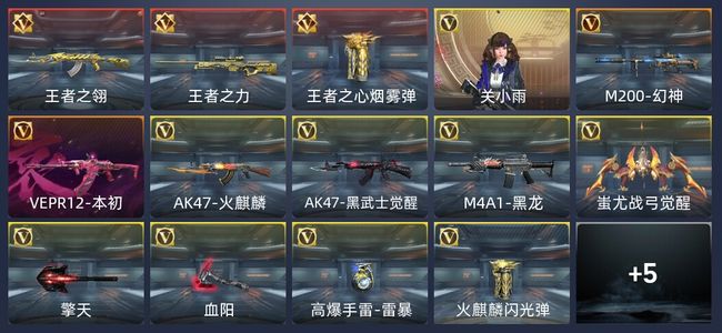 穿越火线：枪战王者V6 23英雄武器 新锐