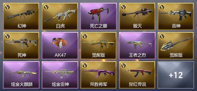 穿越火线（CF）9王者武器 2炫金武器 20V武器 8V角色 13皮肤 可排位