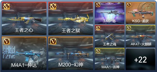 穿越火线：枪战王者V6 44英雄武器 新锐